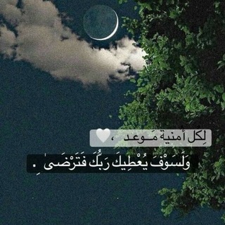 Telegram profile photo for رحلة الوطني 💚
