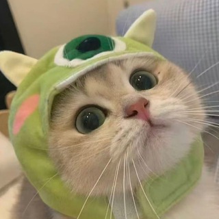 Telegram profile photo for King三角洲内核频道