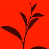 Telegram profile photo for Photo Time