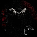 Telegram profile photo for FUXXESELF