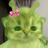 Telegram profile photo for Папка геленджик 2007