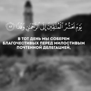 Telegram profile photo for блокнот муваحида
