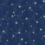 Telegram profile photo for In memoriam, S.E.