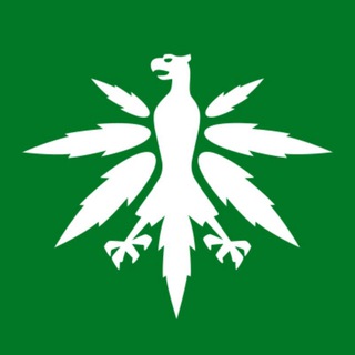 Telegram profile photo for DHV - Hanfverband News