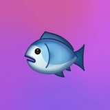 Telegram profile photo for -