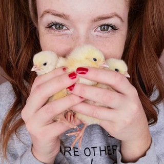 Telegram profile photo for Рыжий фермер👩🏼🌾