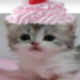 Telegram profile photo for Бараболька