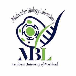 Telegram profile photo for MBL.bioLab آزمایشگاه سلولی و مولکولی