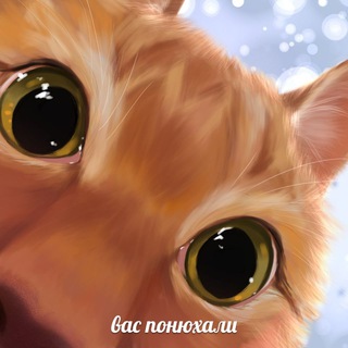 Telegram profile photo for Мемные сливки ฅ^•ﻌ•^ฅ