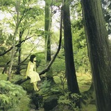 Telegram profile photo for جنگلِ افکارم