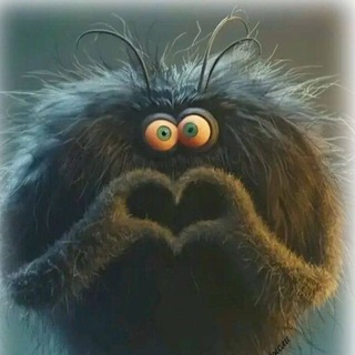 Telegram profile photo for zveroshapka