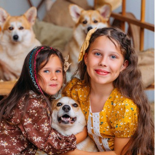 Telegram profile photo for Детское образование и развитие