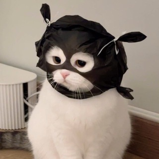 Telegram profile photo for DAZZY