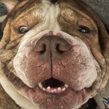 Telegram profile photo for В гостях у Лукаши