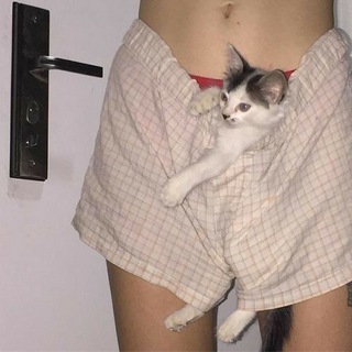 Telegram profile photo for лавина думок