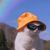 Telegram profile photo for LONG REST