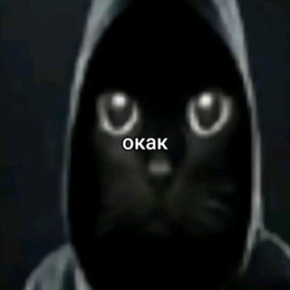 Telegram profile photo for kobelek moment's
