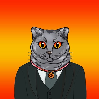 Telegram profile photo for Chartreux Neko