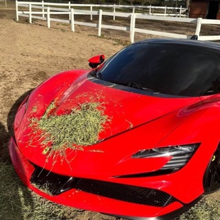 Telegram profile photo for Malone’s Stock