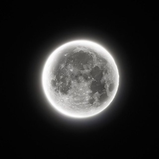 Telegram profile photo for лунный