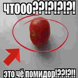 Telegram profile photo for Это че помидор?