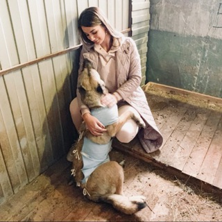 Telegram profile photo for Лапка Добра🐾