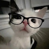 Telegram profile photo for Отзывы ㅈLiknayㅈ💋