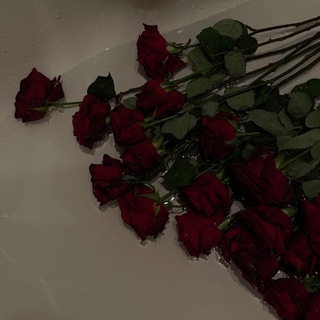 Telegram profile photo for ПЕРЕЕЗД. ||•запах красного вина.•||