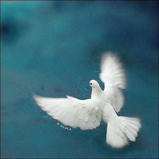 Telegram profile photo for مَناراتُ الـعُلا 🕊🍃