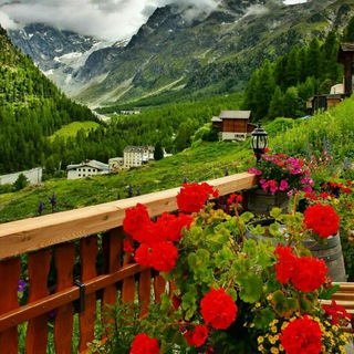 Telegram profile photo for طبیعت ناب