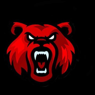 Telegram profile photo for Danger Studio // CRMP