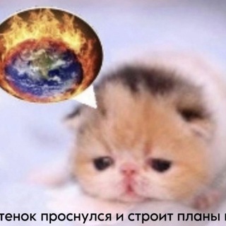 Telegram profile photo for Содовая флудилка