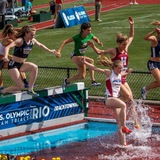 Telegram profile photo for Steeplechase