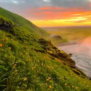 Telegram profile photo for Nature | Природа | 🌿🏔️🏞️