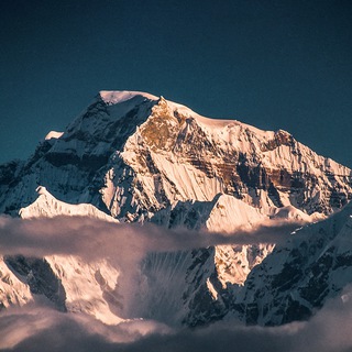 Telegram profile photo for Mountainflow