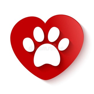 Telegram profile photo for Приют для собак "Сердце странника"