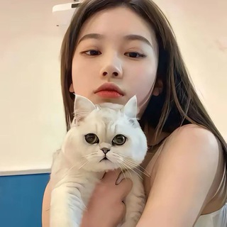 Telegram profile photo for 红娘全国妹子Bao养选妃频道