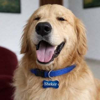 Telegram profile photo for Maduro's Dog - $Sheker