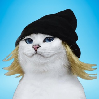 Telegram group profile photo for Olly Hwak