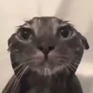 Telegram profile photo for ворую мемы