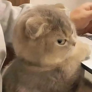 Telegram profile photo for Контроль Света