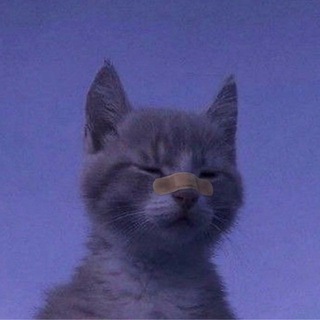 Telegram profile photo for Наверное developer