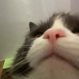 Telegram profile photo for тсс.. миса печатает 🗝