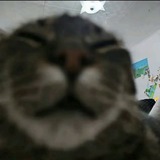 Telegram profile photo for Илюха