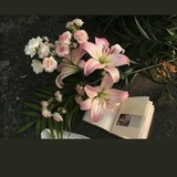 Telegram profile photo for عُزْلَــة.
