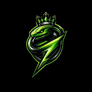 Telegram profile photo for Snake Engine Group