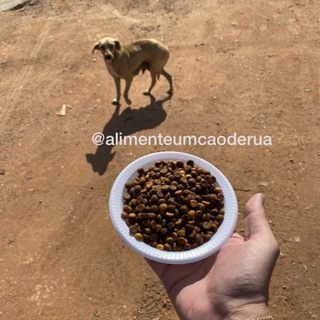 Telegram profile photo for Alimente um Cão de Rua