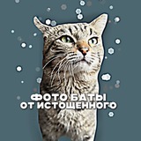 Telegram profile photo for 𝗙𝗯•𝗽𝗹𝗮𝘁𝗼𝗻𝗮