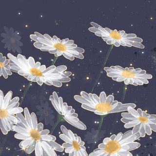 Telegram profile photo for تعرفه تبلیغات بوک لاورز