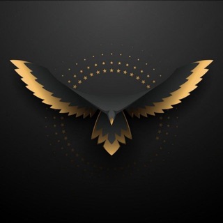 Telegram profile photo for BlackbirdTrading